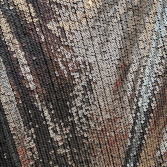 Sequins Wild Fable Dress - Picture 2 of 4